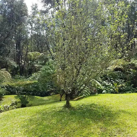 'Ama'U Lani Cottage Volcano Exterior photo