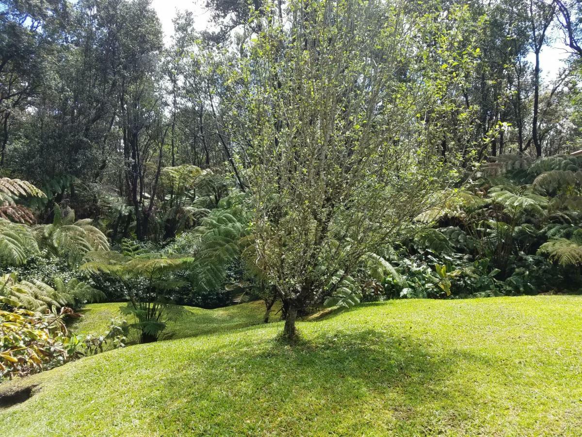 'ama'u Lani