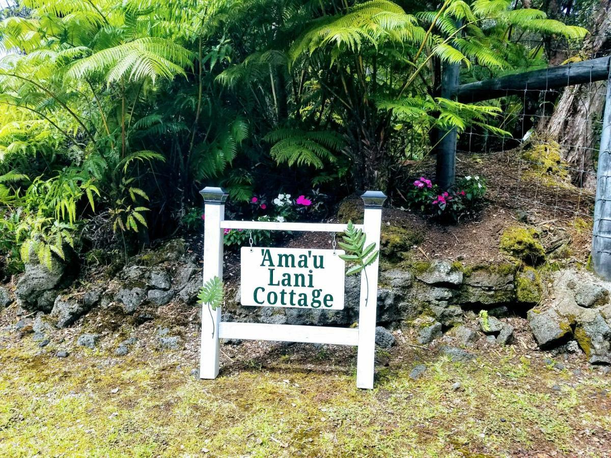 'ama'u Lani Volcano