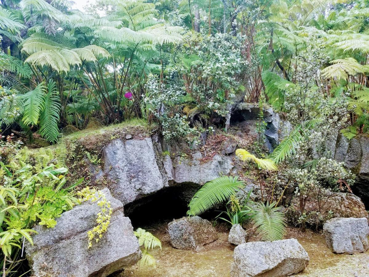 Holiday home 'ama'u Lani